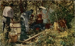Moonshine Still Postcard