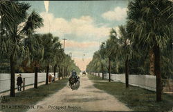 Prospect Avenue Bradenton, FL Postcard Postcard