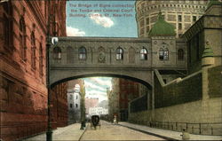 The Bridge of Sighs Connecting the Tombs and Criminal Court Building, Centre St Postcard