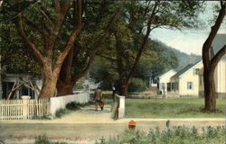 Kendall Lane Postcard