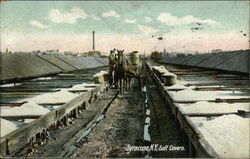 Salt Covers Postcard