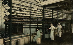 Inland Empire Biscuit Co Postcard