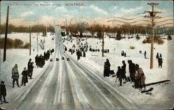 Toboggan Track on Mount Royal Postcard