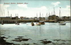 Rockport Harbor Postcard
