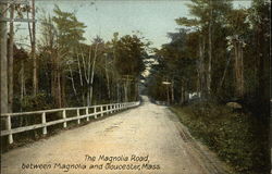 Scenic View of The Magnolia Road Scenic View of The Magnolia Road