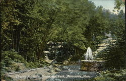 Electric Fountain, Norumbega Park Postcard