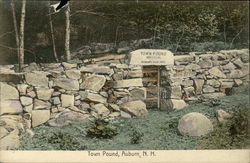 Town Pound Auburn, NH Postcard Postcard