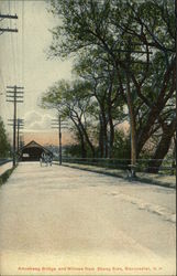 Amoskeag Bridge and Willows from Skeag Side Manchester, NH Postcard Postcard