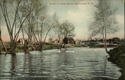 Cohas Brook Postcard