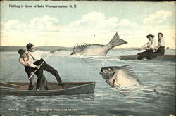 Fishing is Good at Lake Winnepesaukee, N.H Postcard