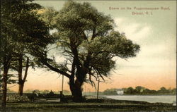 Scene on the Poppoosesquaw Road Postcard