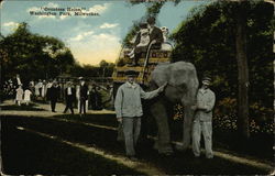 Washington Park - Countess Heine Postcard