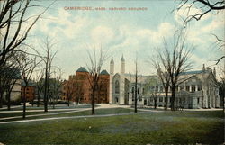 Harvard Grounds Postcard