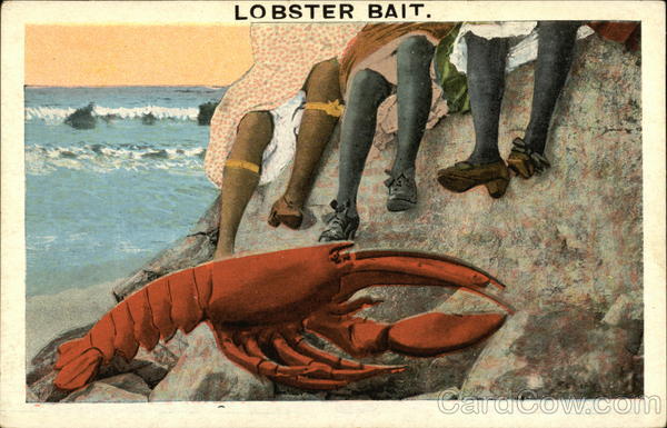 Lobster Bait Comic, Funny