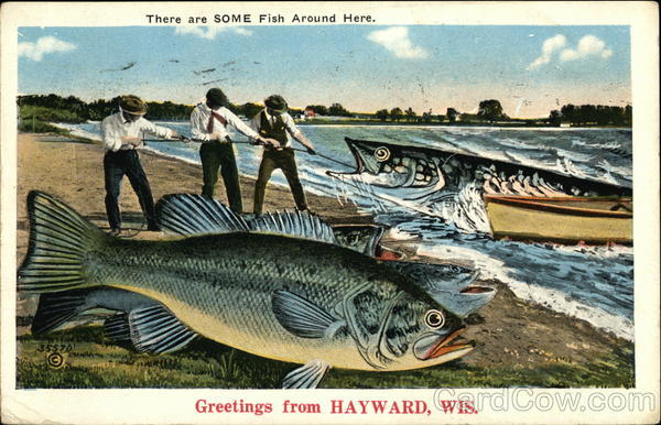 Greetings - There Are SOME Fish Around Here Hayward Wisconsin