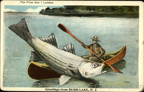 Greetings - First One I Landed Budd Lake New Jersey