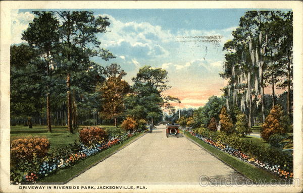 Driveway in Riverside Park Jacksonville Florida