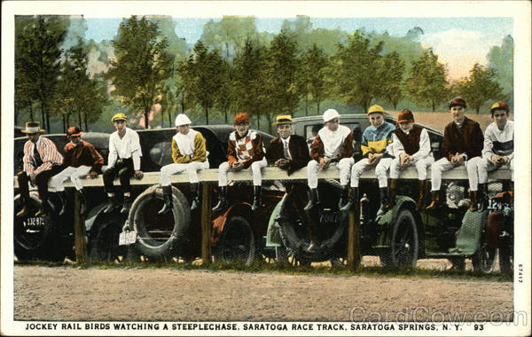 Jockey rail birds watching a steeplechase Saratoga Springs New York