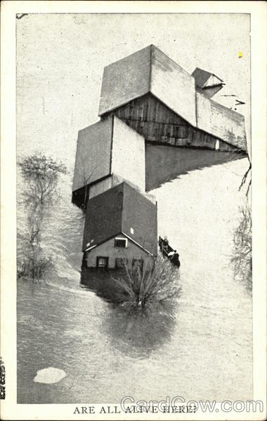 Are all Alive Here? Disasters