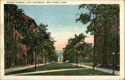 Yale University New Haven, CT Postcard Postcard