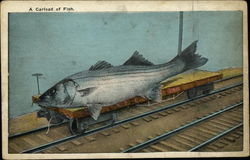 A Carload of Fish Postcard