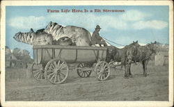 Farm Life Here is a Bit Strenuous Postcard