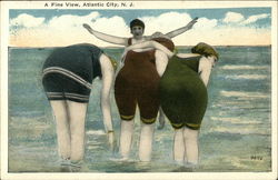 A Fine View Postcard