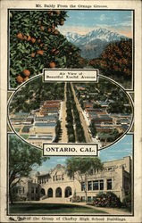 Air View of Beautiful Euclid Avenue, and Other Scenes Postcard