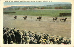 Head of the Stretch, Saratoga Race Track Postcard