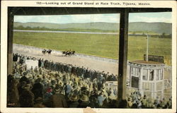 Looking Out of Grand Stand at Race Track Tijuana, Mexico Horse Racing Postcard Postcard