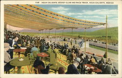 Agua Caliente Jockey Club and Race Track Mexico Postcard Postcard