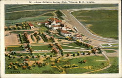 Agua Caliente Jockey Club Tijuana, Mexico Postcard Postcard
