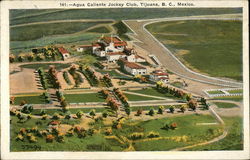 Agua Caliente Jockey Club Postcard