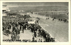 Race Track Tijuana, Mexico Postcard Postcard