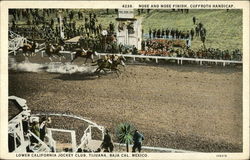 Nose and Nose Finish, Coffroth Handicap Tijuana, Mexico Postcard Postcard