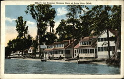 Where the Summer Breezes Blow Luna Pier, MI Postcard Postcard