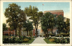 Walk on The Common Worcester, MA Postcard Postcard