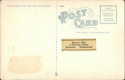 back