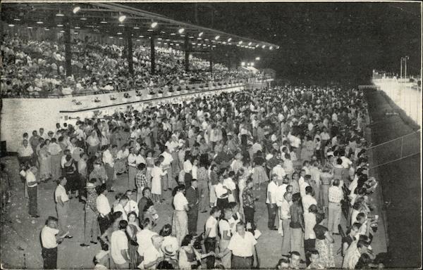 Valusia County Kennel Club Daytona Beach Florida