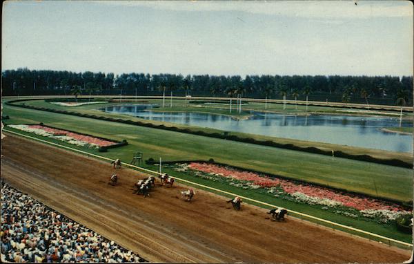 Down the Stretch, Hialeah Race Track Florida