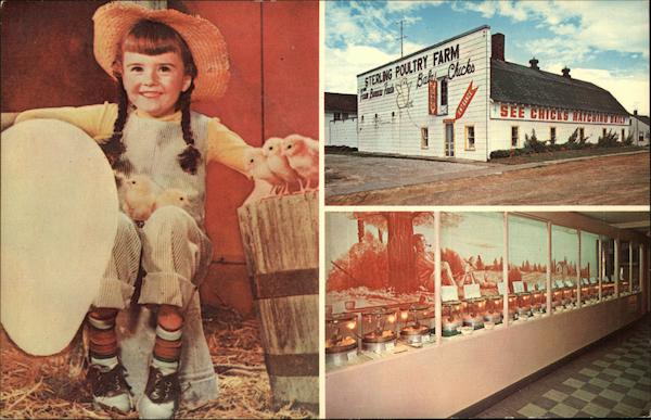 Chick Museum Sterling Michigan