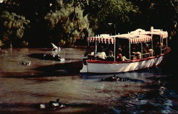 Hippos at Home, Disneyland Postcard