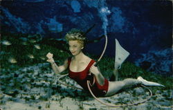 Mermaids, Weeki Wachee Spring Postcard