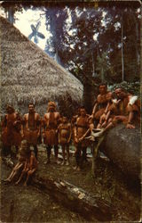 Amazonas Postcard