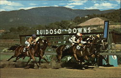 Ruidoso Downs Race Track Postcard