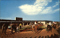 Finger Lakes Race Track Canandaigua, NY Postcard Postcard