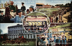 Views if Irish Horse Racing Events Views if Irish Horse Racing Events