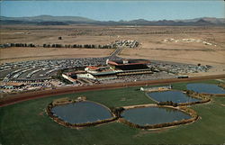 Turf Paradise, Finest Winter Horse Raing Under the Sun Phoenix, AZ Postcard Postcard