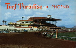 Turf Paradise Phoenix, AZ Postcard Postcard