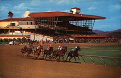 Turf Paradise Phoenix, AZ Postcard Postcard